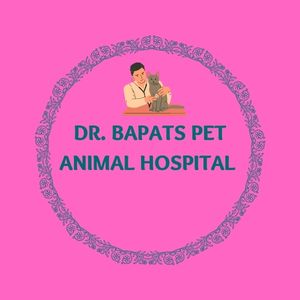 Dr. Bapats Pet Animal Hospital in Koliwada, Vazira, Borivali West, Pet  Shop, Pet Grooming, Pet Accessories, Pet Food, Mumbai, India 