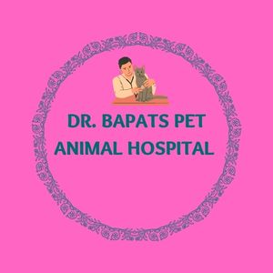 Dr. Bapats Pet Animal Hospital in Koliwada, Vazira, Borivali West, Pet Shop, Pet Grooming, Pet Accessories, Pet Food, Mumbai, India Dr. Bapats Pet Animal Hospital in Koliwada, Vazira, Borivali West, Pet Shop, Pet Grooming, Pet Accessories, Pet Food, Mumbai, India
